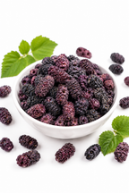 Freeze-Dried Mulberry - 20g - YOV